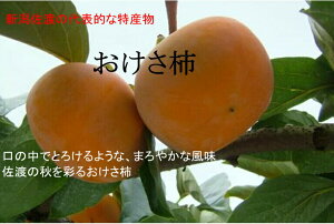 VnY@u`vj`@G@L`2LTCY32ʁ`36ʁ@7.5kg10{`11{twskCEnʓr550~
