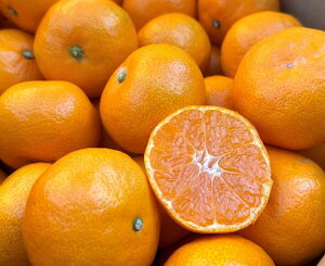 Y@R݂@}Ch݂@ԏG@STCY@4L@Ε鑡py11{`12{蔭twszykCEn͕ʓr550~z