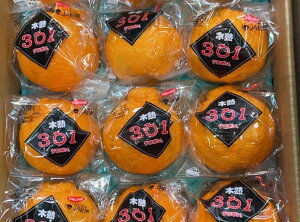 a̎R JAI ؏n301 fR| 3L/4LTCY Gi @6 i1.8LOjłۂ/fR|//k/IfR|/p/t[c/ʕ/MtgkCEnʓr550~3{`4