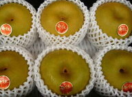 糖度13度以上　鳥取産 　新甘泉（しんかんせん）　赤秀　5玉～7玉　 約2kg 　化粧箱入り　贈答品8月末～9…