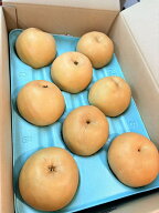 【新高梨】新潟県産　新高梨　良　10キロ箱 10玉～20玉　家庭用【10月上旬～中旬頃発送日付指定不可】【…