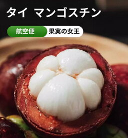 タイ産 　マンゴスチン　サイズ： M～L 24玉～36玉（ 約2kg以上）お中元ギフト/内祝い/ 贈りもの/ 贈答用/ お祝い北海道・九州・離島地区別途クール料金660円4月下旬～6月下旬頃発送日付指定不可