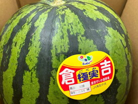 鳥取県ブランド西瓜　倉吉極実すいか（ごくみすいか）Mサイズ　1玉（約5kg）　贈答用【高級スイカ】【極実スイカ】【大玉西瓜】【鳥取スイカ】【西瓜】【お中元】【北海道・中国・四国・九州・離島地区別途クール送料1000円】6月下旬～7月中旬頃発送日付指定不可