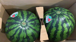 ����Y���Z�@���{�n�C�����h �X�C�J�@ A���� �@2L�T�C�Y2�ʁi��7kg/1�ʁj�����p �y�ăM�t�g�z�y��ʐ��Z�z�y����X�C�J�z�y���Z�z�y�������z�y�k�C���E�����E�l���E��B�E�����n��ʓr�N�[
