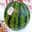 山形県大玉西瓜　尾花沢すいか　 A等級（秀） 　6Lサイズ1玉（10kg以上/1玉）贈答用 【夏ギフト】【大玉西瓜】【山形スイカ】【西瓜】【お中元】【北海道・四国・中国・九州・離島地区別途クール送料1000円】7月下旬～8月中旬頃発送日付指定不可