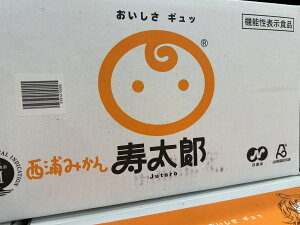 ÉY JAӂɓ Y݂@ԏG@SMTCY@10kg@pY݂/݂/~J//kp/t[c/ʕ/MtgkCEnʓr550~2{`3{