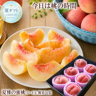 お中元 ギフト 桃 桃ギフト 高糖度の桃 白桃 夏雅の蜜桃 送料無料 お中元 暑中見舞い 残暑見舞い