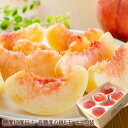 楽天市場 桃 フルーツ 果物 食品 の通販