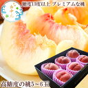 もも モモ 桃 お中元 暑中お見舞い 残暑お見舞い 桃ギフト 高糖度の桃 フルーツギフト 夏ギフト 大糖領の桃 一桃匠の…