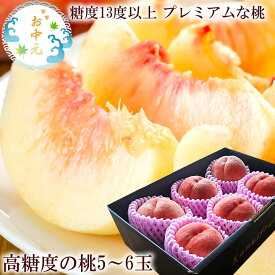もも モモ 桃 お中元 暑中お見舞い 残暑お見舞い 桃ギフト 高糖度の桃 フルーツギフト 夏ギフト 大糖領の桃 一桃匠の桃 加納岩のぴー 一宮プレミアムの桃 春日居の桃 産地厳選 [高糖度の桃5~6個A冷蔵] 7月初旬から発送 フルーツギフト 安心安全な冷蔵便使用