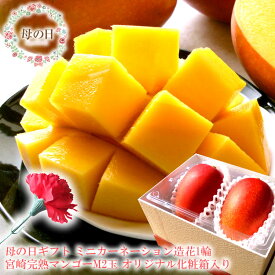 母の日 プレゼント 母の日 ギフト 母の日 マンゴー 母の日 食べ物プレゼント 母の日 グルメ 母の日 プレゼント 義母 母の日2025 60代 母の日 母の日 フルーツギフト ミニカーネーション造花付き 母の日 花 お母さん [宮崎完熟マンゴーM2玉母の日]