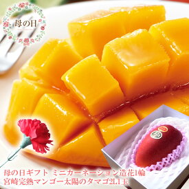 母の日 プレゼント 母の日 ギフト 母の日 食べ物プレゼント 母の日 フルーツ 母の日 グルメ 母の日 プレゼント 義母 母の日2025 60代 母の日 母の日 フルーツギフト ミニカーネーション造花付き 母の日 花[太陽のタマゴ2L1玉]