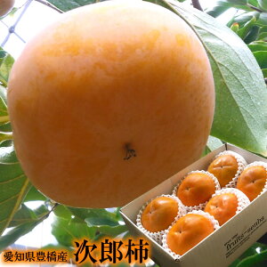 t[cMtg `  JL Y` N` 낤` j oYj j ӗ ei   Cj  O yYMtg StRyii j j 