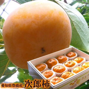 t[cMtg `  JL Y` N` 낤` j oYj j ӗ ei   Cj  O yYMtg StRyii j j 