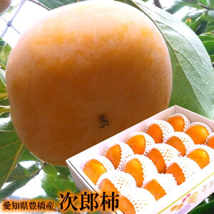 t[cMtg `  JL Y` N` 낤` j oYj j ӗ ei   Cj  O yYMtg StRyii j j 