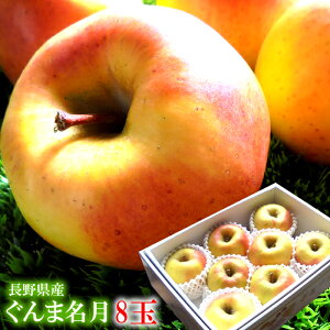 ܖ  ߂  S ь t[cMtg 񂲃Mtg [ܖ8] MtgΉ S ̂eΉ