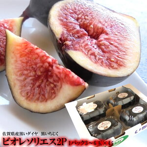   C`WN ԉ y9{甭Jnzy͂wsz̍IꌧY[rI\GX4pbN]SI