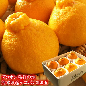 1{납̏iySIz[F{fR|3L6] j oYj j ӗ ei   Cj  O yYMtg StRyii j