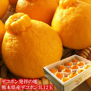 1{납̏iySIz[F{fR|3L12] F{fR| j j   