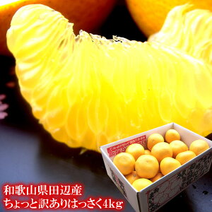 t݂ 󂠂͂ 󂠂  󂠂 nbTN 󂠂 ݂  a̎RY󂠂[͂4kg]