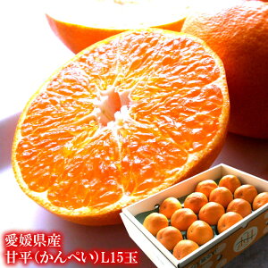 ؂ Õ JyC Q݂  t[cMtg j j   QY܁`[ÕL15ʊȈՕ]1{o