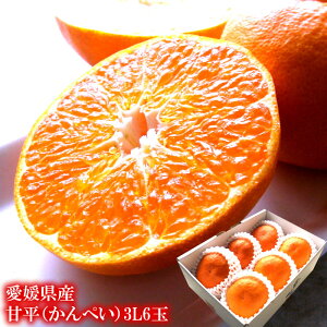 ؂ Õ JyC Q݂  t[cMtg j j  x15x̔ZȊÖIQY[Õ3L6ʊȈՕ]1{o