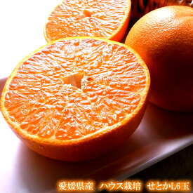 せとか みかん 大トロ 送料無料 フルーツギフト 愛媛県産[せとかL6玉簡易包装] 内祝い お祝い お見舞い お供え