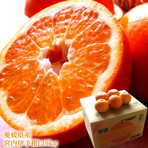 悩 ɗ\ ݂  QY[{ɗ\L10kg]