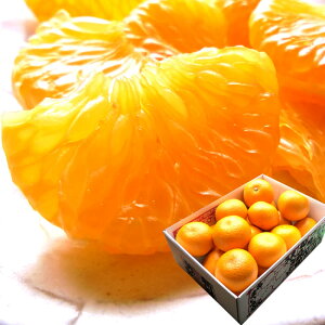 a̎R̂͂ Gi͂ MtgɎg͂ ZÎ_ςlCłIyza̎RRǎY[z~͂L5kg] j j ӗ ei  Cj 