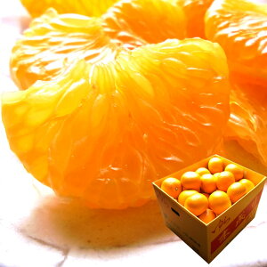 a̎R̂͂ Gi͂ MtgɎg͂ZÎ_ςlCłIyza̎RRǎY[z~͂L10kg]j j ӗ ei  Cj 