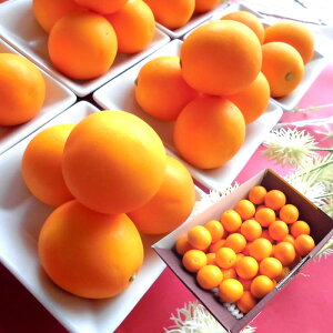 񑾂񂩂 LJ  ÉYn񂩂 [LTCY1kg] n nLJ 2{납̏i