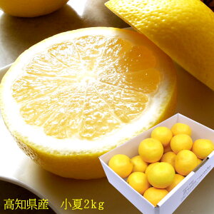  Ȃ  j[T}[IW mY [ 2kg ]  j oYj j ӗ ei   Cj  O yYMtg StRyii 