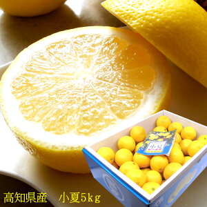  Ȃ  j[T}[IW mY [ 5kg ]  j oYj j ӗ ei   Cj  O yYMtg StRyii 