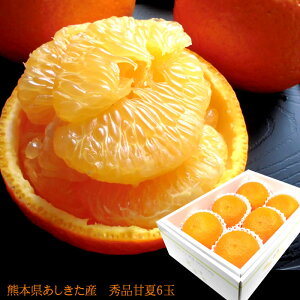 É ܂Ȃ t݂ F{Y [GiÉ6 ]LTCY  j oYj j ӗ ei   Cj  3{납̏i