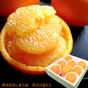 É t݂ F{Y [GiÉ8]LTCY  j oYj j ӗ ei   Cj  3{납̏i