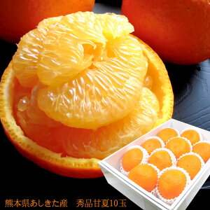 É ܂Ȃ t݂ F{Y [GiÉ10]LTCY  j oYj j ӗ ei   Cj  3{납̏i