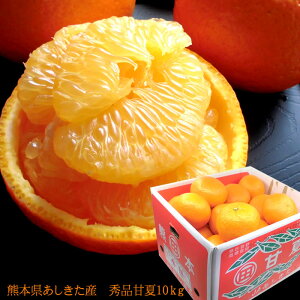 É ܂Ȃ t݂ F{Y [GiÉ10kg]LTCY  j oYj j ӗ ei   Cj  3{납̏i