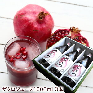   c ăMtg UN100%  ў ʏ`100 Xg[gW[X Nu X[p[t[h [UNW[X1000ml 3{] Ε ~Mtg j oYj 