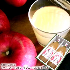 VimXC[gW[X ̓Mtg  Ε ~Mtg j oYj j ӗ ei   Cj  O yYMtg StRyii j 