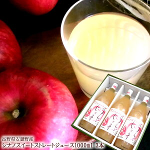 VimXC[gW[X ̓Mtg  Ε ~Mtg j oYj j ӗ ei   Cj  O yYMtg StRyii j 