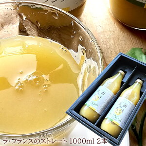 hƔZItX̃Xg[gW[XI[EtXW[X2{] 1{1000ml j oYj av[g j   Cj  yYMtg S