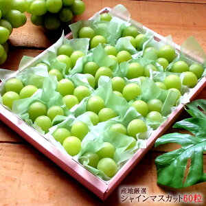 VC}XJbg  t[c  j Ԃ oY MtgZbg av[g p[eB[ ԂMtg 蕨 Hו ʕ [VC}XJbg60]  ăMt