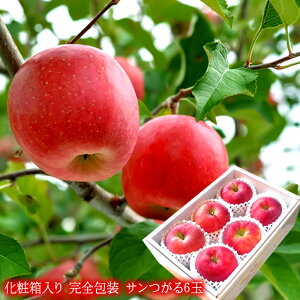 hV̓MtgɂlC t[cMtg V [T6ʉϔ] S d hV̓Mtg hV̓j j oYj j ӗ ei   Cj 