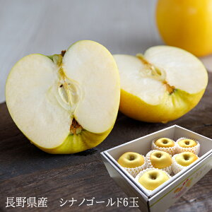 フルーツギフト シナノゴールド 内祝い 出産内祝い お祝い 謝礼 粗品 お礼 お見舞い 快気祝い お供え ご霊前 手土産ギフト ゴルフコンペ景品 ご結婚お祝い 結婚内祝い 寿長野県産[シナノゴ