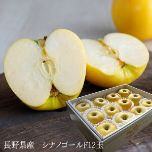 フルーツギフト シナノゴールド 内祝い 出産内祝い お祝い 謝礼 粗品 お礼 お見舞い 快気祝い お供え ご霊前 手土産ギフト ゴルフコンペ景品 ご結婚お祝い 結婚内祝い 寿 長野県産[シナノゴ