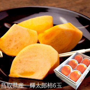 `  JL t[cMtg 挧Y PY` 낤 [PY6] a߂łƂ j oYj j ӗ ei   Cj  O yYMtg S
