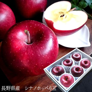 t[cMtg 쌧Y[Vimzby6] Ε ~Mtg j oYj j ӗ ei   Cj  O yYMtg StRyii j 