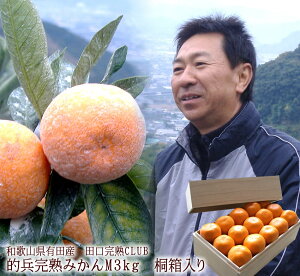 ݂ Lc݂ Lc~J Lc Ε x17x̔ZȖ킢 IBLcY[ nI݂3kg ] ˔