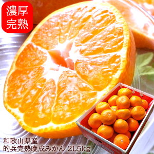 ݂ ~J Lc݂ B݂ cn݂  a̎RLcY[nI݂2L5kg]1{o