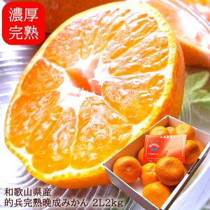 ݂ ~J Lc݂ B݂ cn݂  a̎RLcY[nI݂2L2kg]1{o